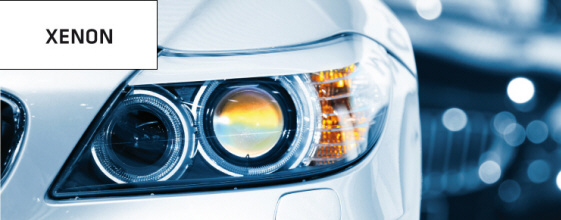 Автомобильная светотехника: галогенные лампы, светодиодные лампы, ксеноновые лампы - Польша
